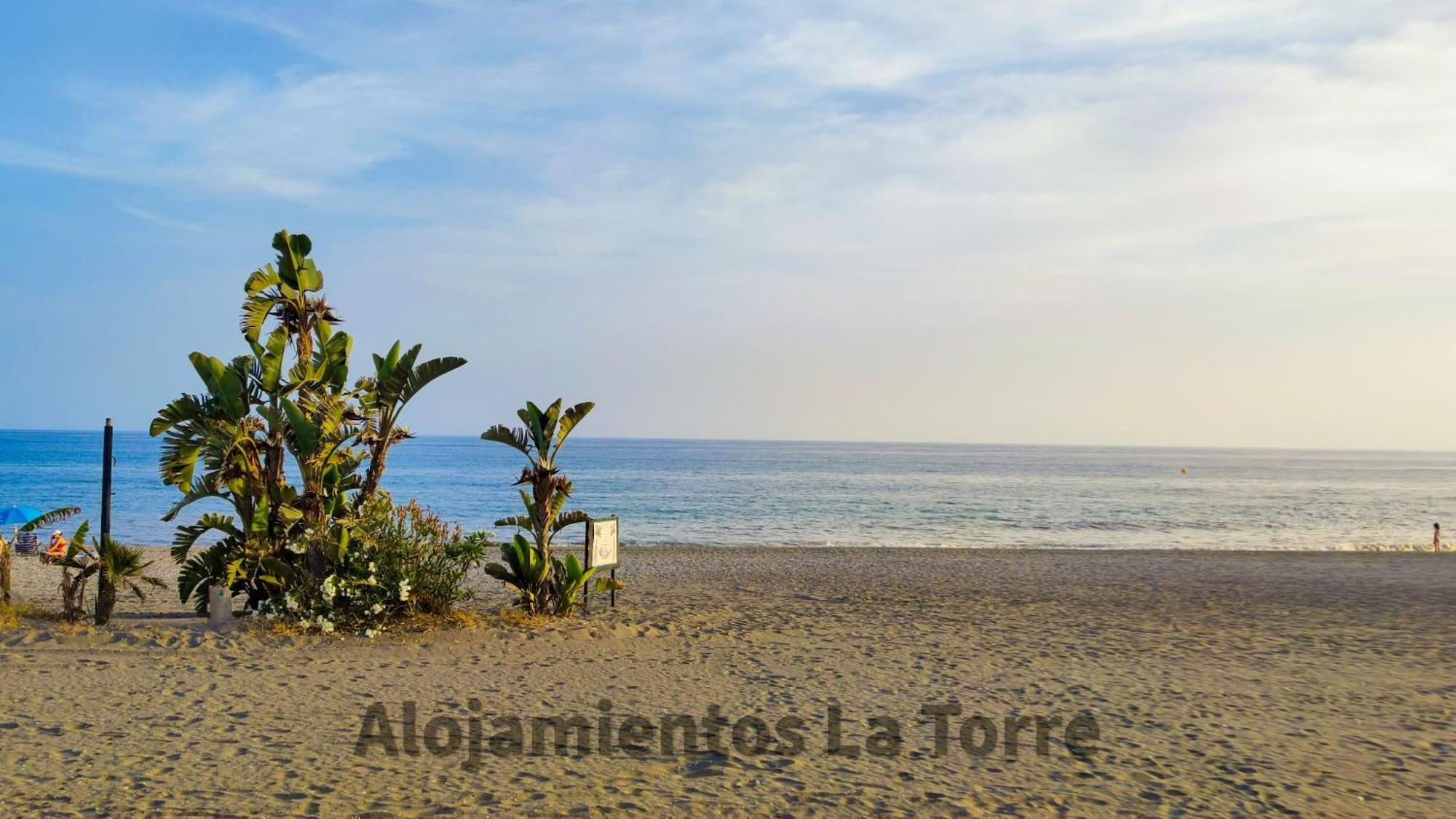Laguna Beach Premium - Alojamientos La Torre تورّوكس كوستا المظهر الخارجي الصورة